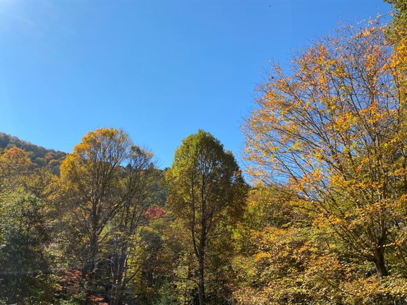 Mountain Gem 0.541 Acres, $199 Down : Creston : Ashe County : North Carolina