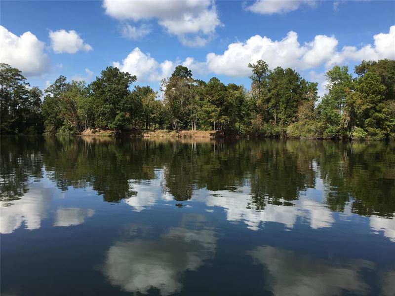 .32 Acre in Cleveland, $200/Month : Cleveland : Liberty County : Texas