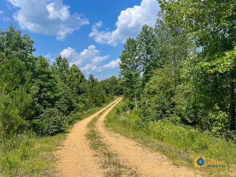 Brigham Tract : Dover : Stewart County : Tennessee