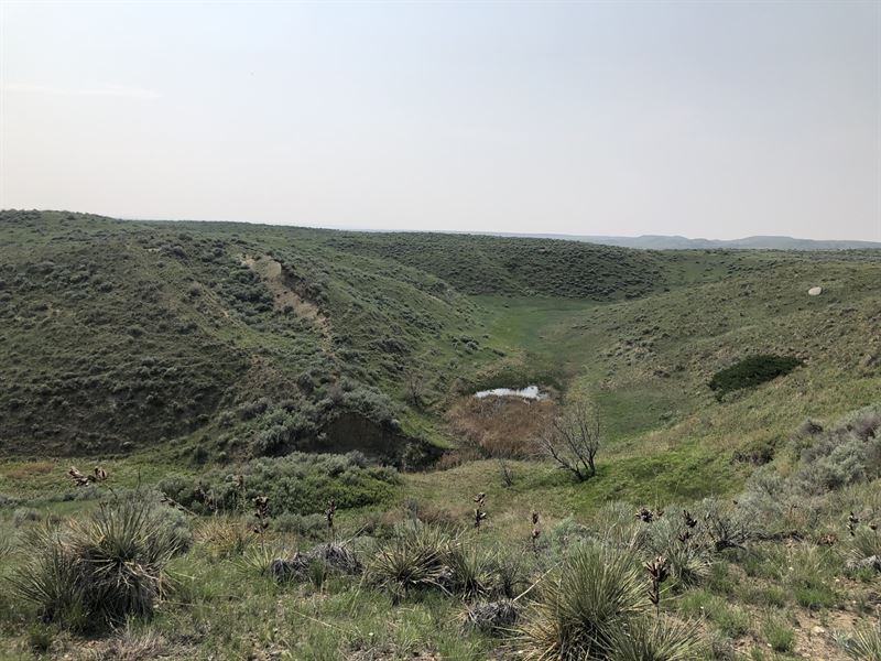 Taplins 320 : Malta : Phillips County : Montana