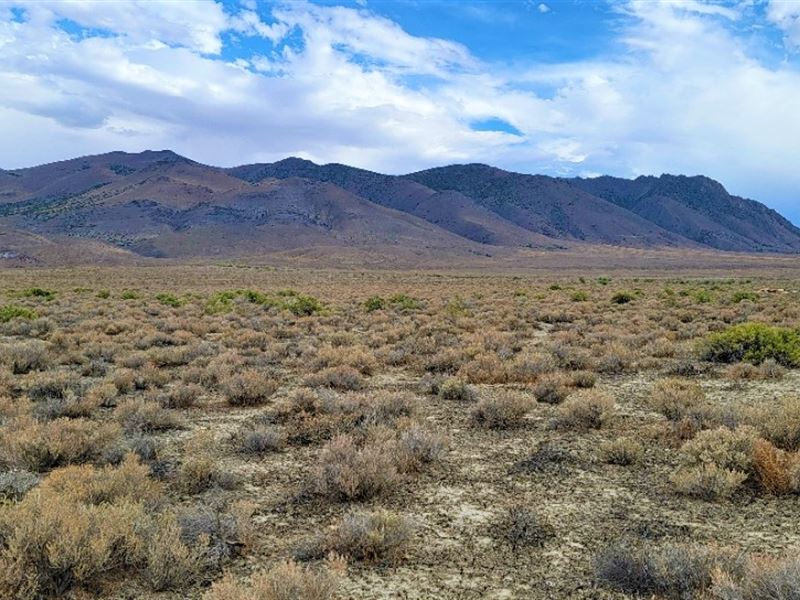 Explore This Vacant Paradise : Winnemucca : Humboldt County : Nevada