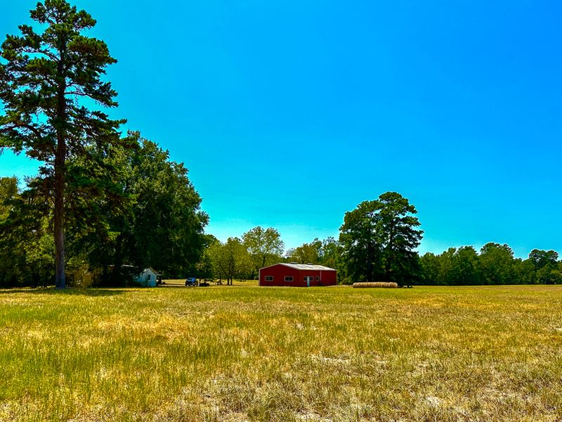 298 Acres, County Road 1655 : Crockett : Houston County : Texas