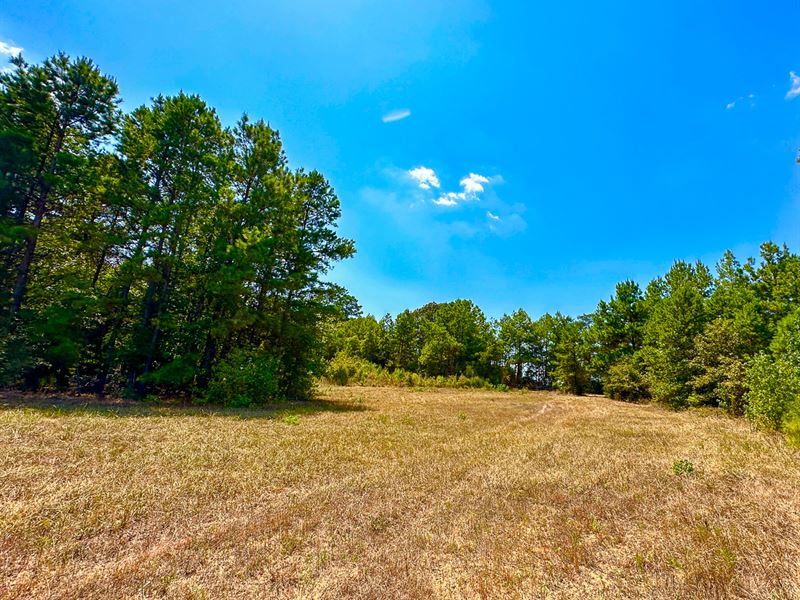 220 Acres, County Road 1655 : Crockett : Houston County : Texas