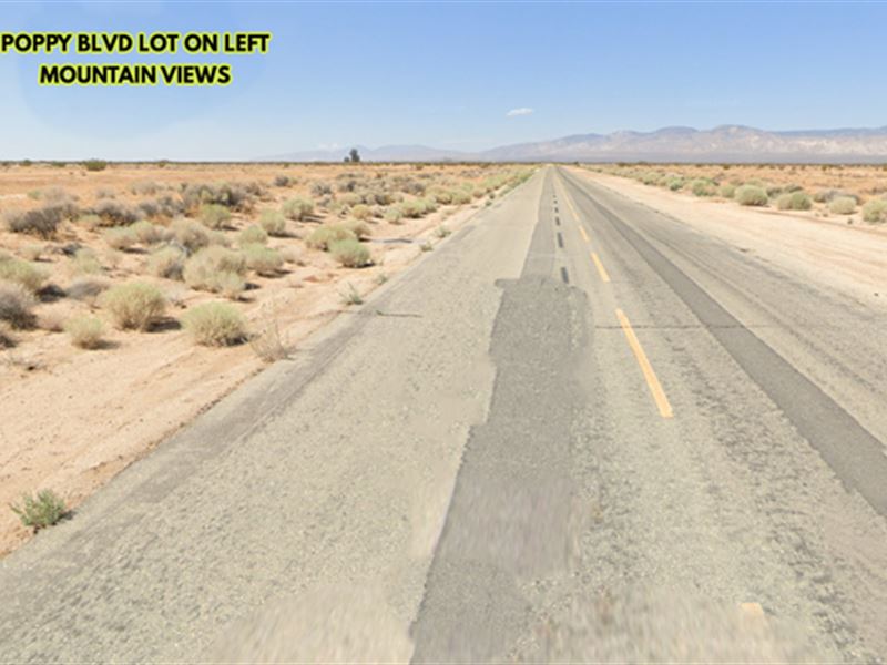 California Lot, Paved Road : California City : Kern County : California