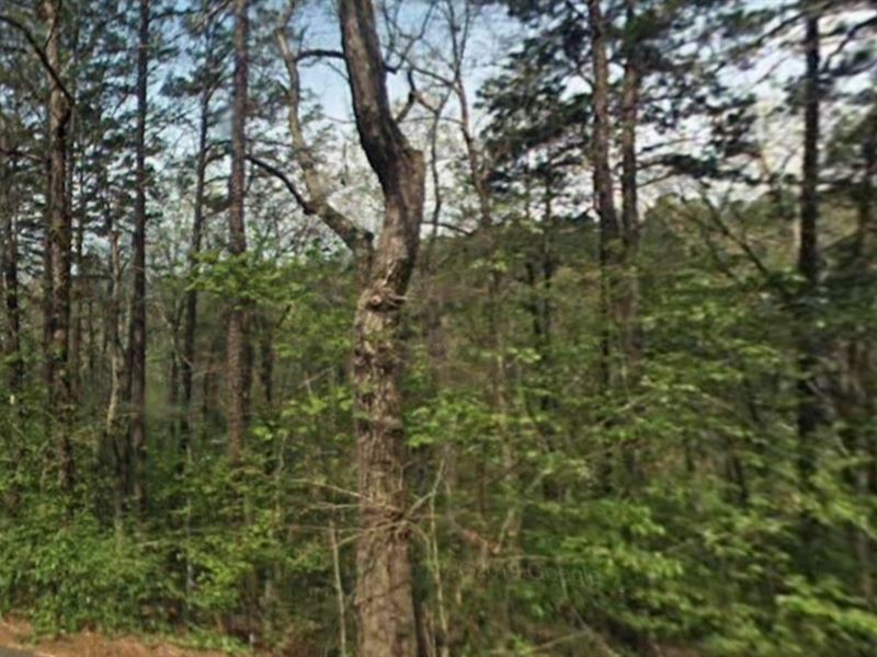 Perfect Fairfield Bay, AR 7k Now 5k : Fairfield Bay : Van Buren County : Arkansas