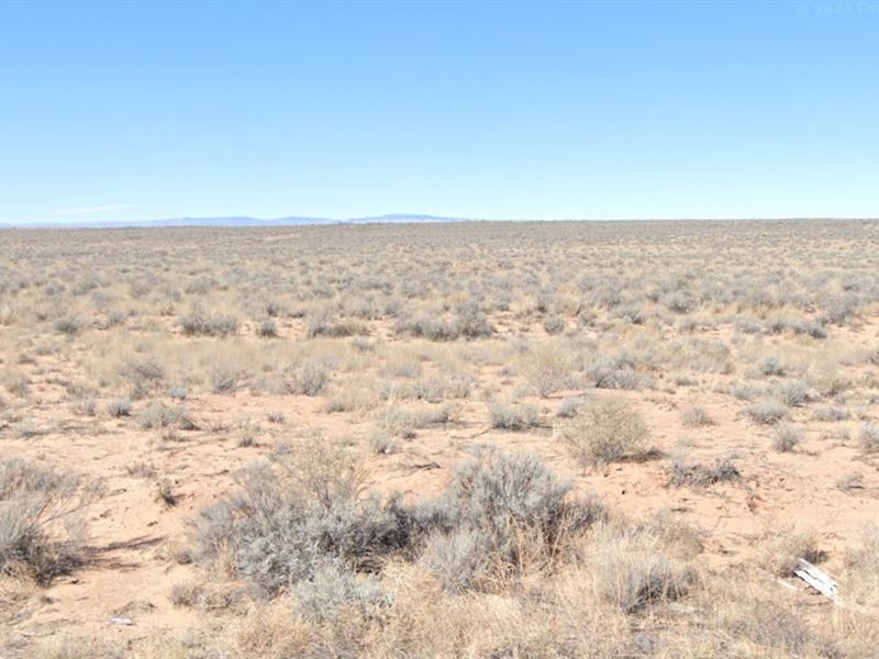 Your 2.5 Acre Dream, $179/Month : Belen : Valencia County : New Mexico