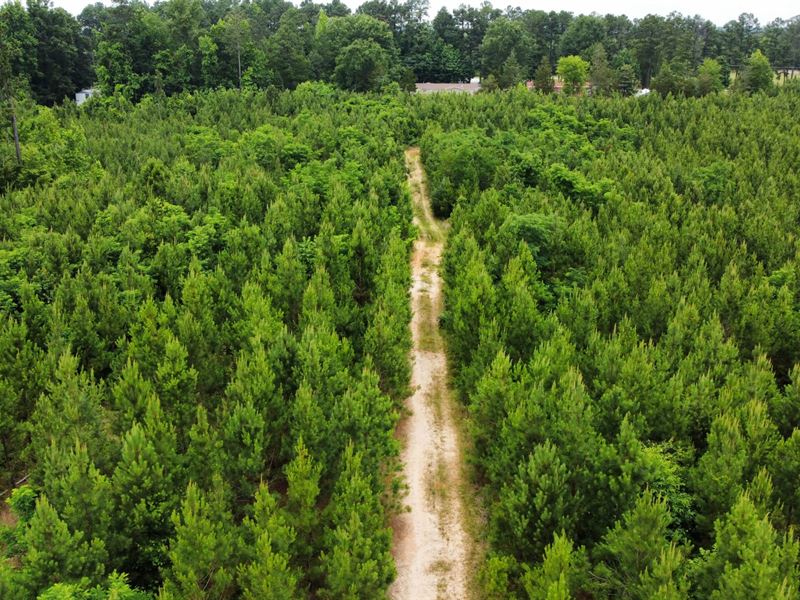 Adger Hills Central Tract : Winnsboro : Fairfield County : South Carolina