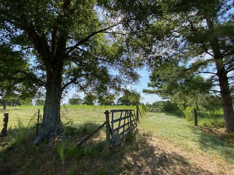 27 Acres Of Pastureland in Npsd : Tylertown : Pike County : Mississippi