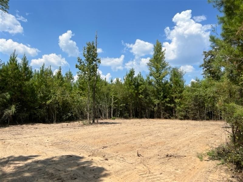 10 Acres in North Pike School Distr : Tylertown : Pike County : Mississippi