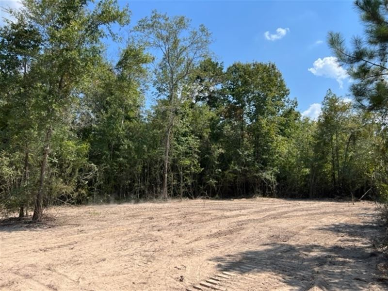 7 Acres in North Pike School Distri : Tylertown : Pike County : Mississippi
