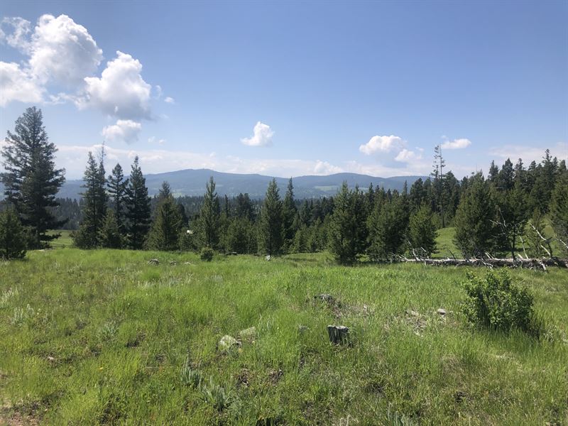 Tract 2 Moose Springs : Philipsburg : Granite County : Montana