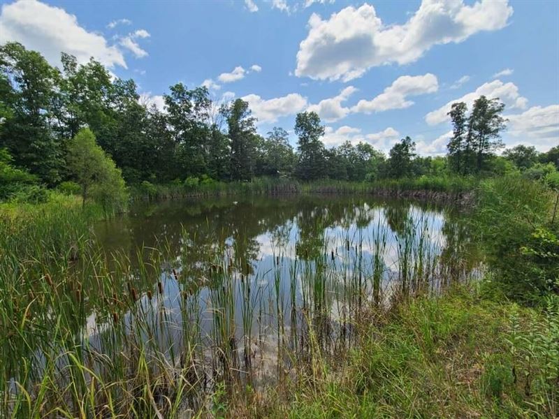 35 Acres in Cuba, Missouri : Cuba : Crawford County : Missouri