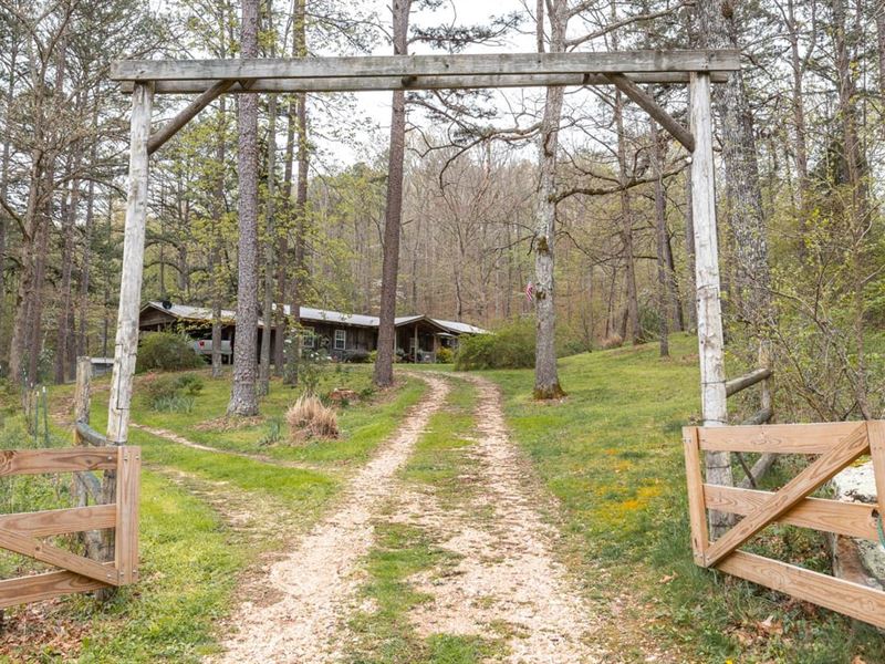Bean Den Canyon 100 : Vanzant : Douglas County : Missouri