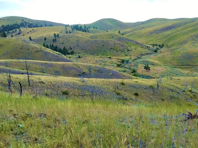 Ride and Roam on Parcel 2 : Townsend : Broadwater County : Montana
