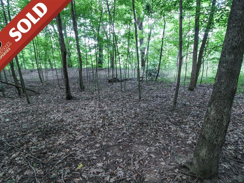 SR 93, 1.54 Acres, Coshocton Coun : Kimbolton : Coshocton County : Ohio