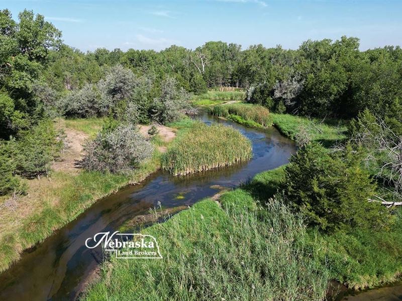 Ft McPherson River Hunt : Brady : Lincoln County : Nebraska