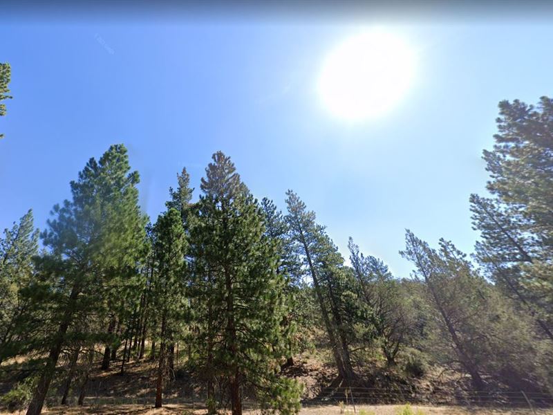 Enhance Your Legacy with 0.98 Acres : Modoc : Modoc County : California
