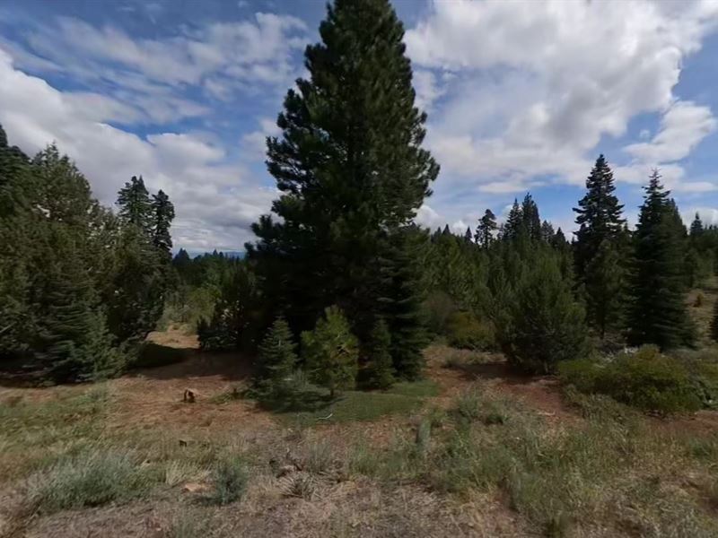Live The Californian Dream Here : Alturas : Modoc County : California