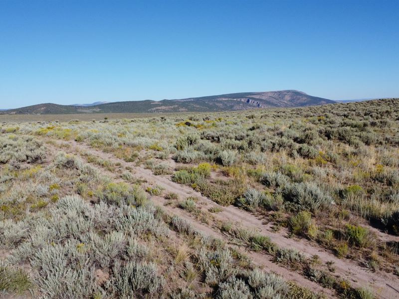Sage Flats : Maybell : Moffat County : Colorado