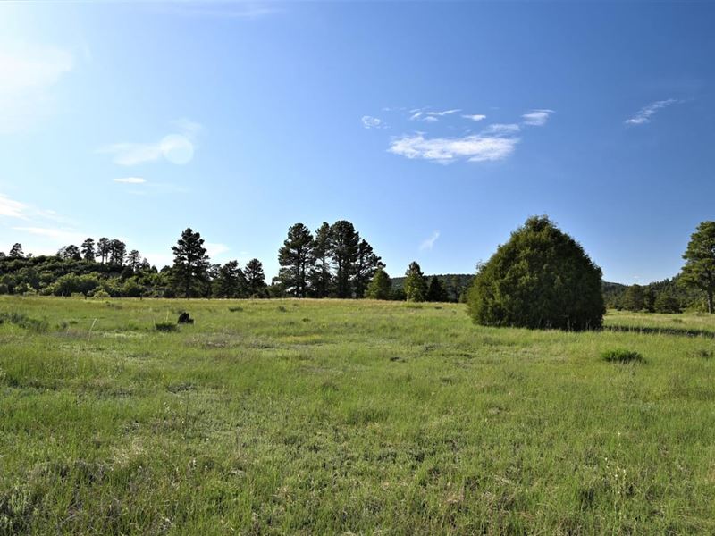 10 Acres in Chama, New Mexico : Chama : Rio Arriba County : New Mexico