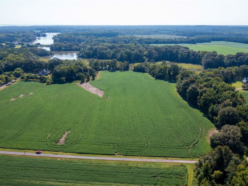 19.653 Ac in Westmoreland County : Hague : Westmoreland County : Virginia