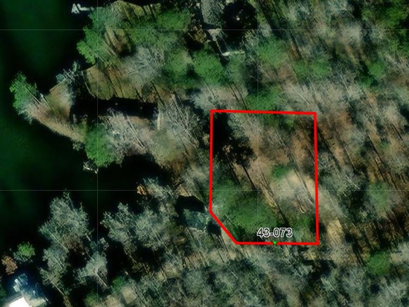 Cettei Tract : Salem : Lee County : Alabama