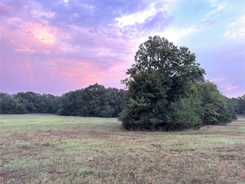 Royal Hill Farm : El Paso : White County : Arkansas