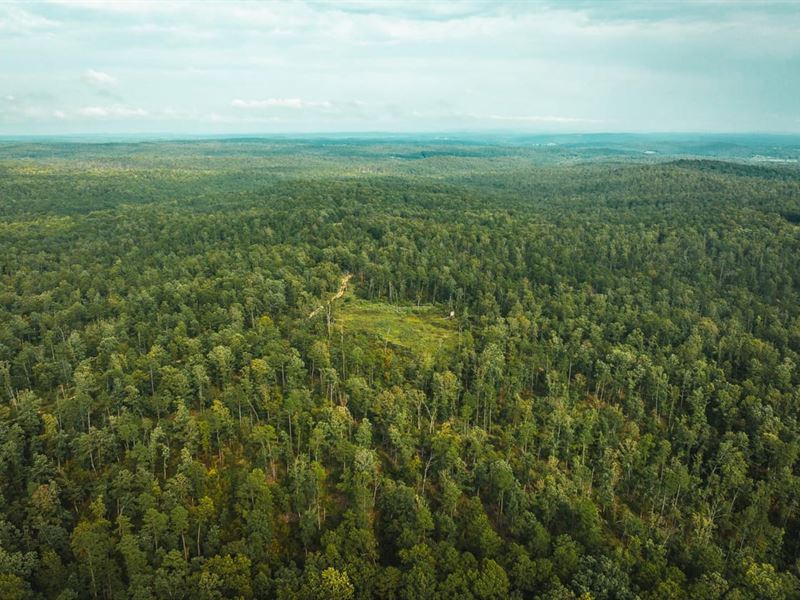 The Back Twenty : Potosi : Washington County : Missouri