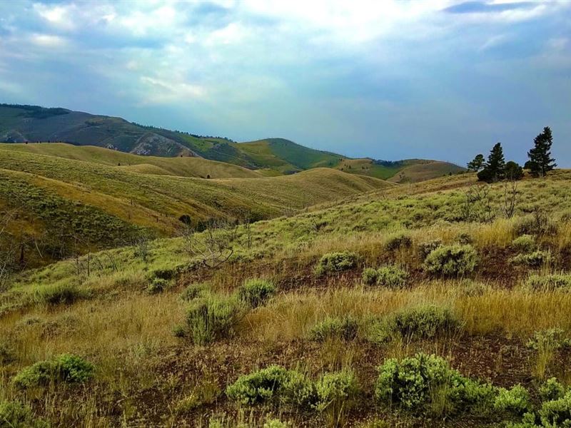 Feel Alive on Parcel 5 : Townsend : Broadwater County : Montana