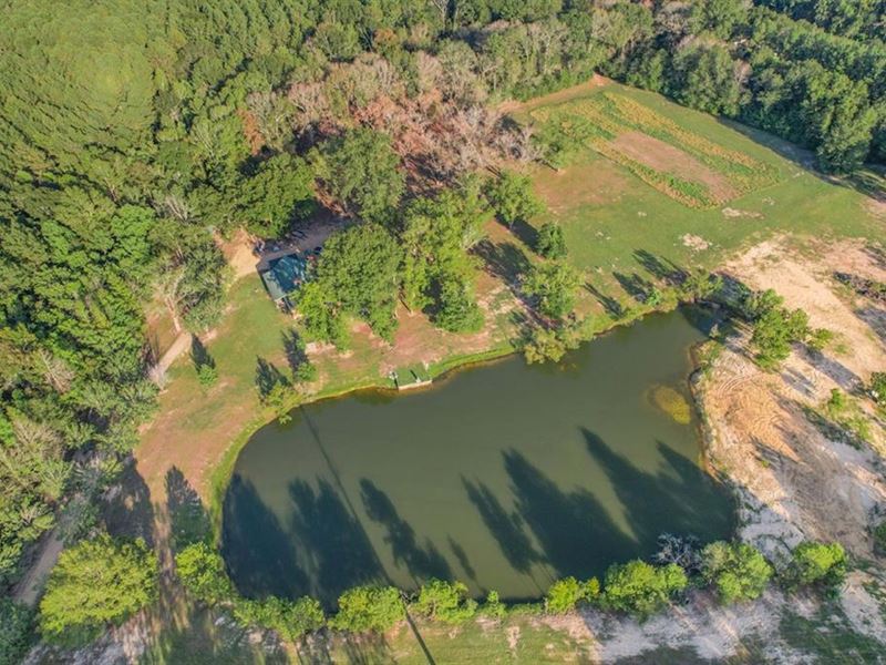 Turnkey Hunting Camp with 120 Acres : Kentwood : Tangipahoa Parish : Louisiana