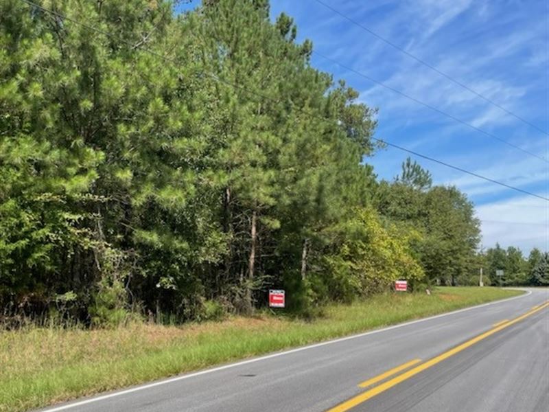 Pristine Lot in The Country : Rutledge : Morgan County : Georgia