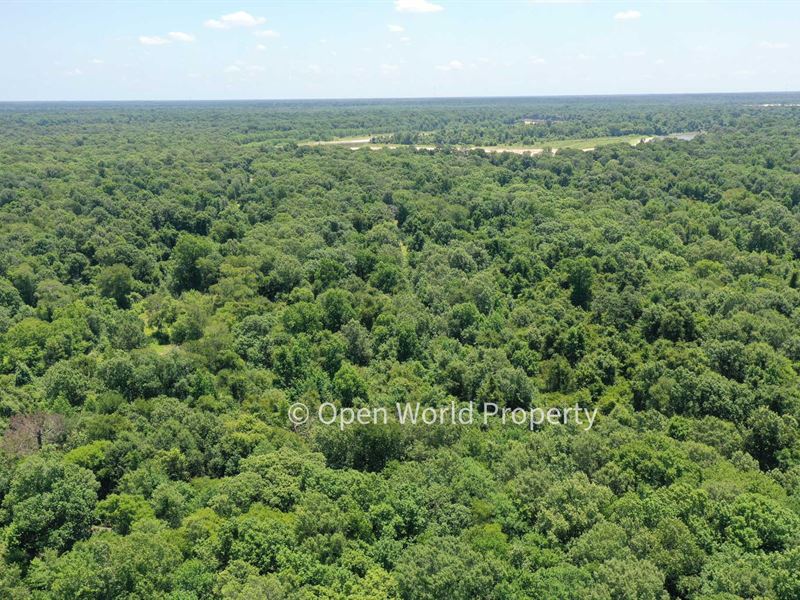 Seclusion by River & Hunting Unit : Cleveland : Liberty County : Texas