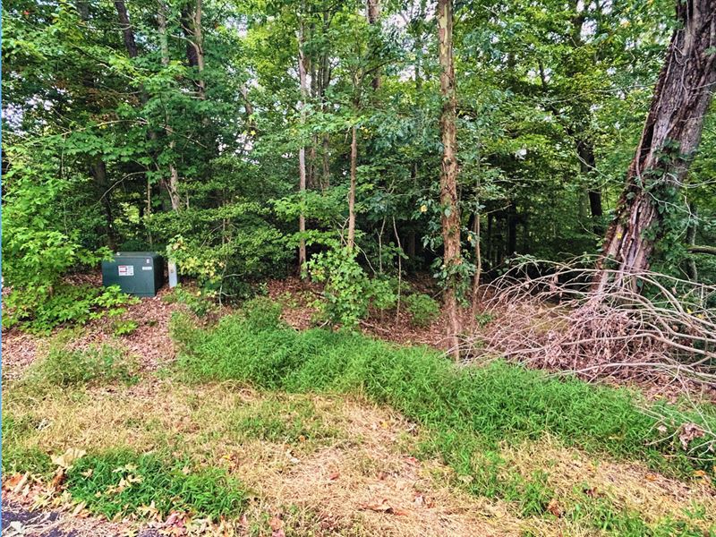 .73 Ac, Water Access, Financing : Lusby : Calvert County : Maryland