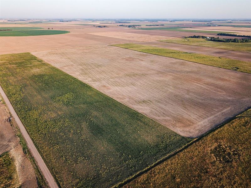 Stafford Cropland Quarter : Stafford : Stafford County : Kansas