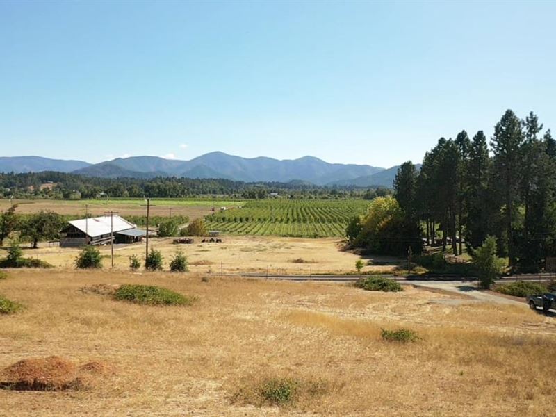 Lower River Road Building Lot : Grants Pass : Josephine County : Oregon
