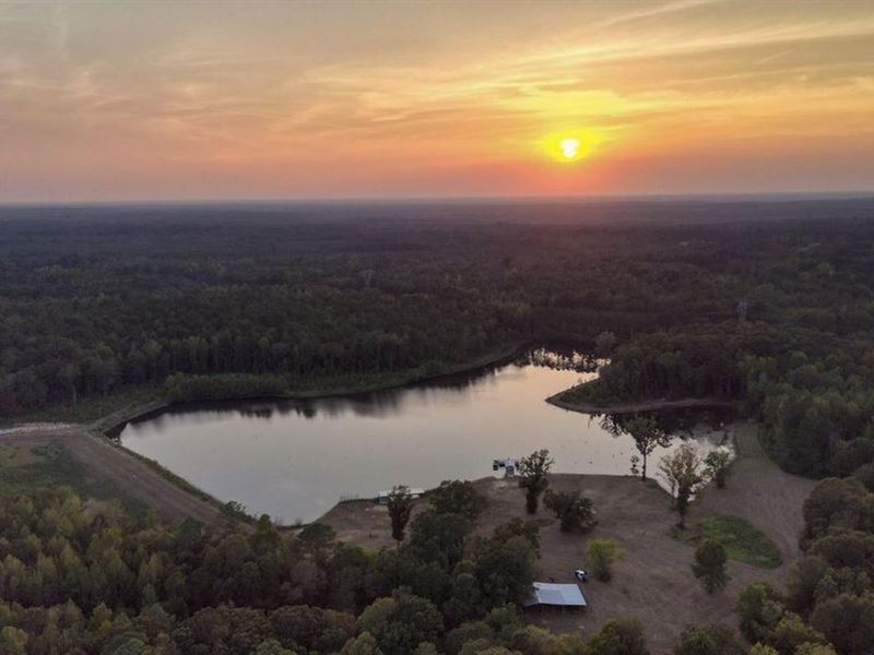 652 Acres Camden Hills Farm in MA : Camden : Madison County : Mississippi