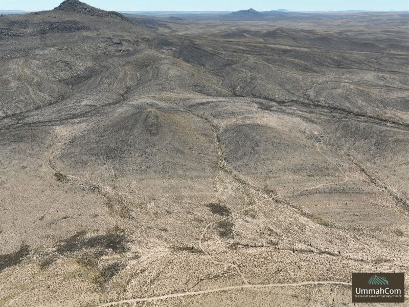 Mayfield Ranch Rd Area 45 Acre Lot : Dell City : Hudspeth County : Texas