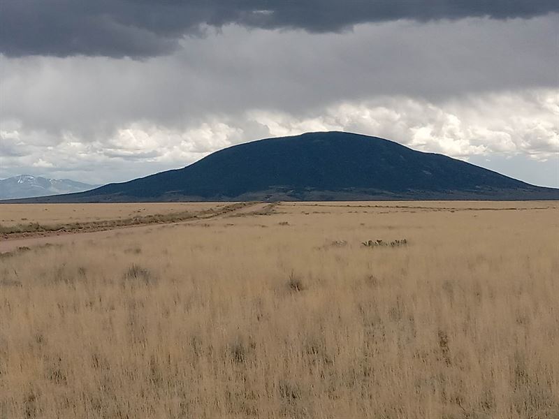 Unrestricted Building on 5 Acres : San Luis : Costilla County : Colorado