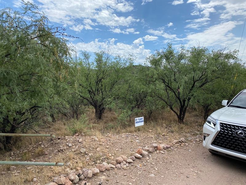 Excellent Buildable Lot : Rio Rico : Santa Cruz County : Arizona