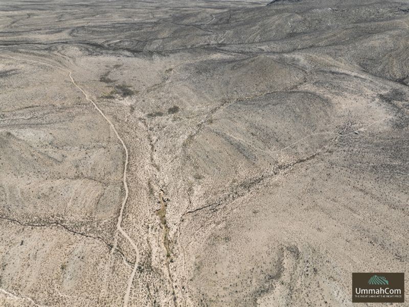 Dell City Texas 178 Acres, Roads : Dell City : Hudspeth County : Texas