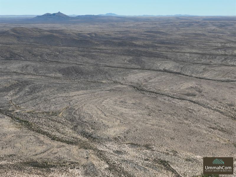 11+ Acres Hudspeth County Roads : Dell City : Hudspeth County : Texas