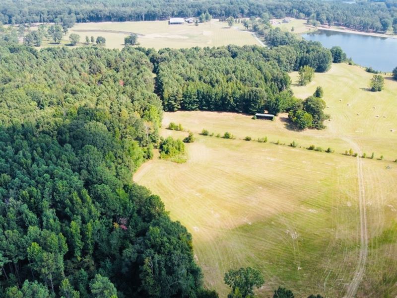 78.26 Acres in Flora in Madison Cou : Flora : Madison County : Mississippi