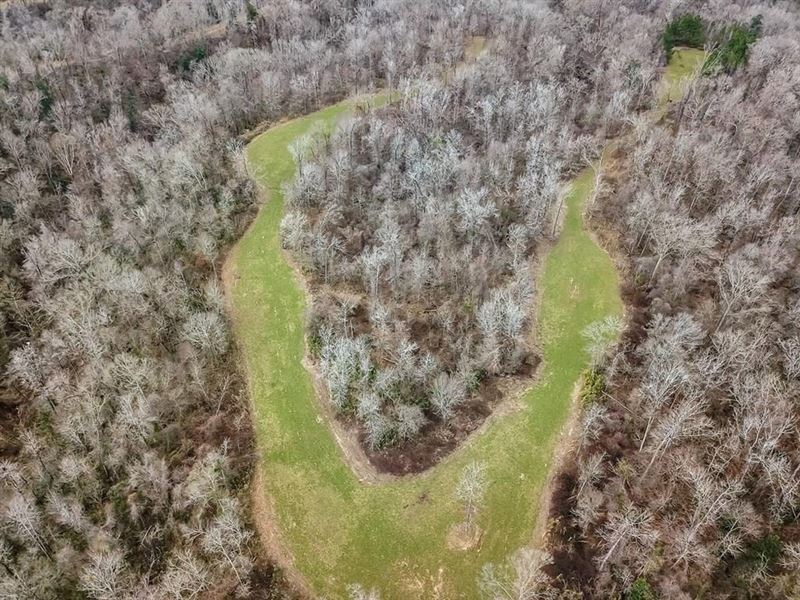 Southside Land Co. Shares and Camps : Lorman : Jefferson County : Mississippi