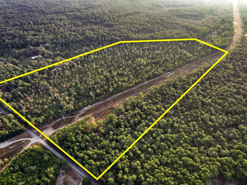 66 Acres, Fostoria Tram Road : Cleveland : San Jacinto County : Texas