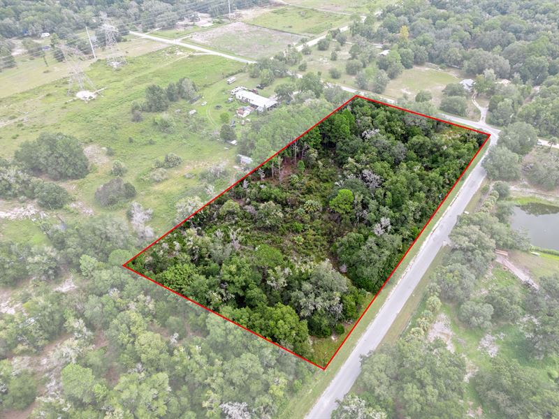 5.159 Acres of Possibilities Awaits : Dunnellon : Citrus County : Florida
