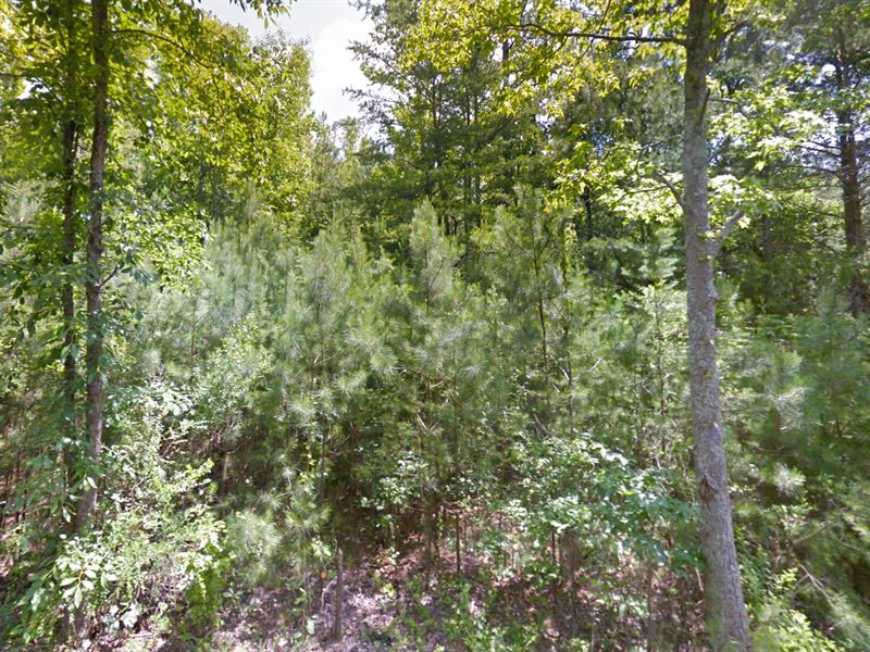Unrestricted, Financing Offered : Oneonta : Blount County : Alabama