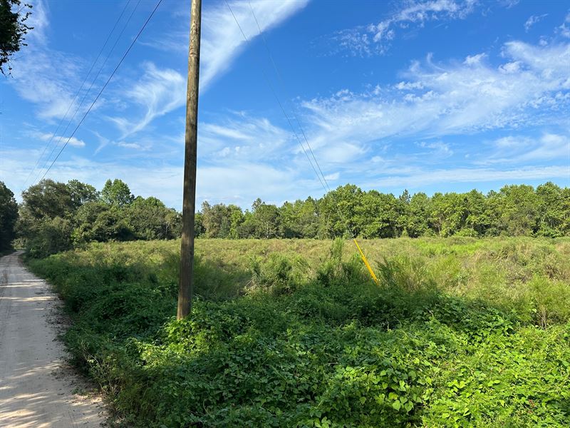 Tract 2, 5 Acres on Damascus Hwy : Alma : Bacon County : Georgia