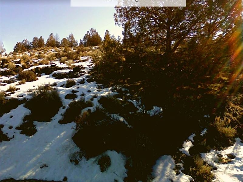 1.51 Acres Only $1 Down, $299/Mo : Alturas : Modoc County : California
