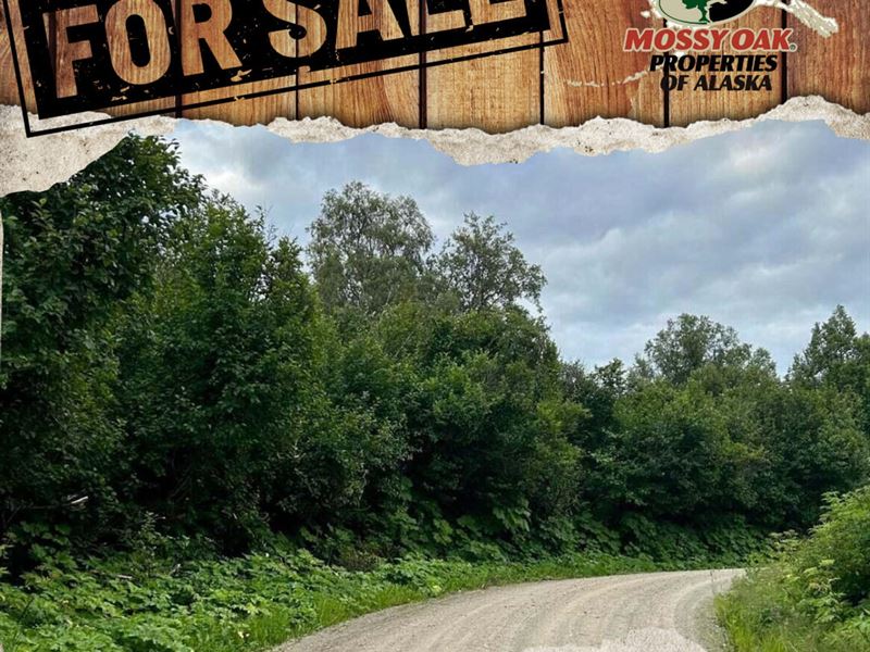 .95 Acres View of Mountains and Coo : Nikiski : Kenai Peninsula Borough : Alaska