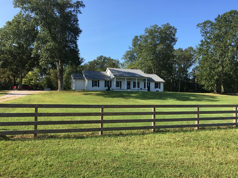 3Br Brick Home for Sale, Basement : Adamsville : Hardin County : Tennessee